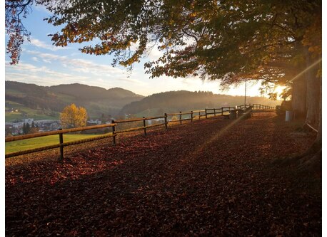 Föhrenwäldli Degersheim mit öffentlicher Grillstelle (10 min zu Fuss)