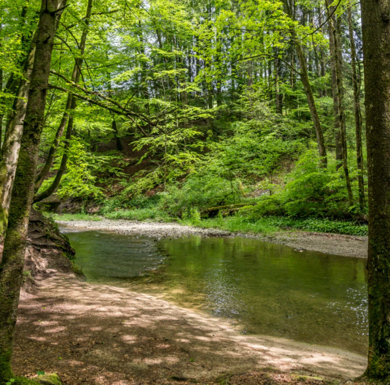 Wissbachschlucht mit Grillstelle und Bademöglichkeit im Bach (40 min zu Fuss)