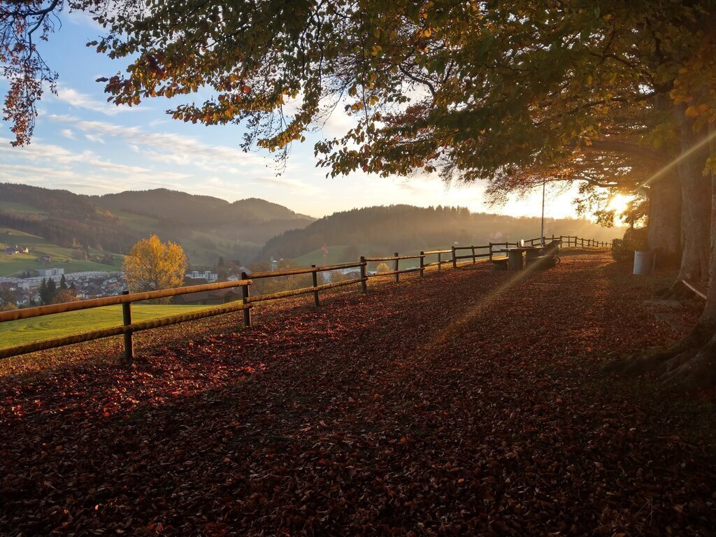 Föhrenwäldli Degersheim mit öffentlicher Grillstelle (10 min zu Fuss)