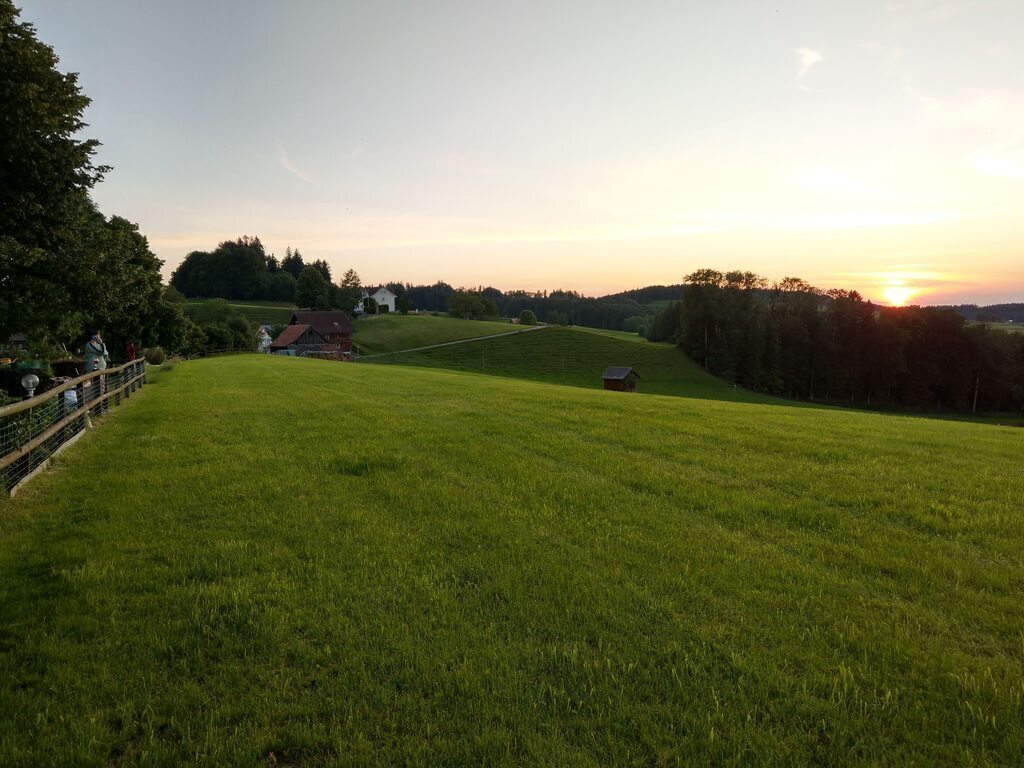 Aussicht von Grillstelle im Garten