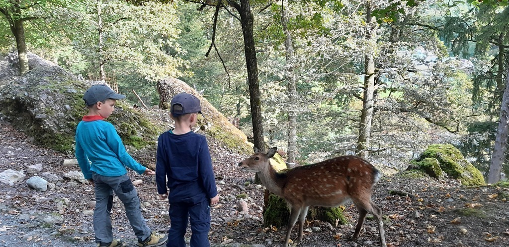 Natur- und Tierpark Goldau (90 min mit ÖV / 90 min mit Auto)