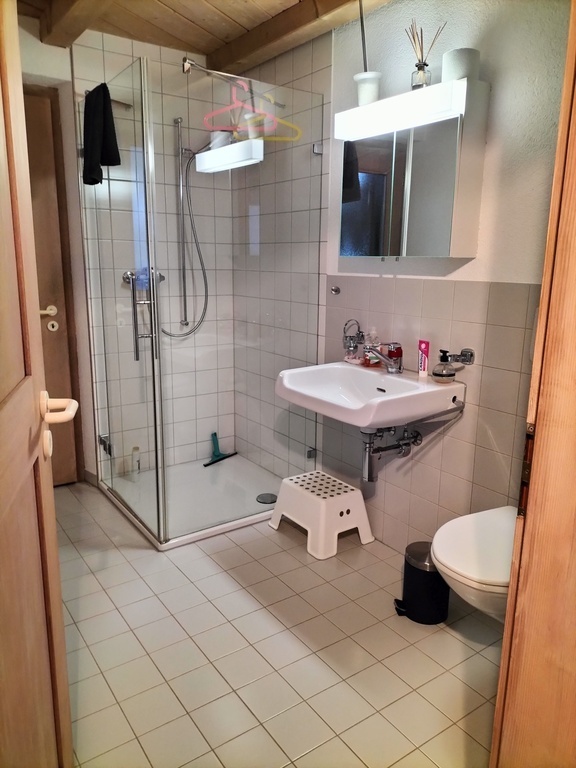 Badezimmer mit Dusche und WC im Erdgeschoss