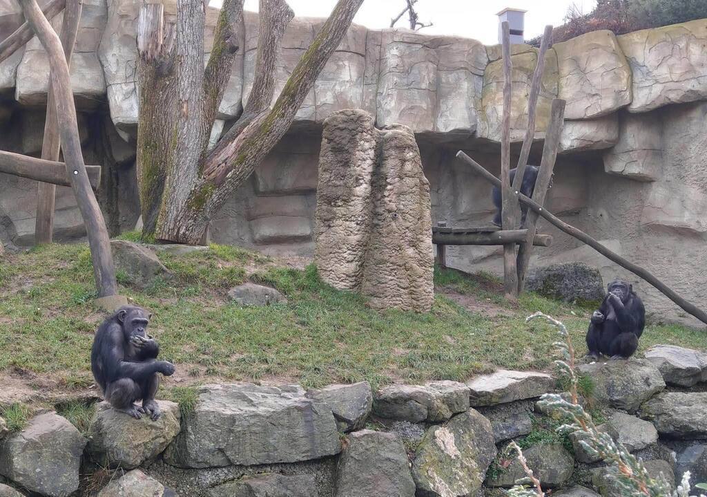 Walter Zoo in Gossau SG (45 min mit ÖV / 20 min mit Auto)