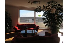 enjoy mountain view from our dining and living room