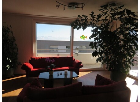enjoy mountain view from our dining and living room