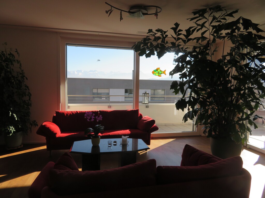 enjoy mountain view from our dining and living room