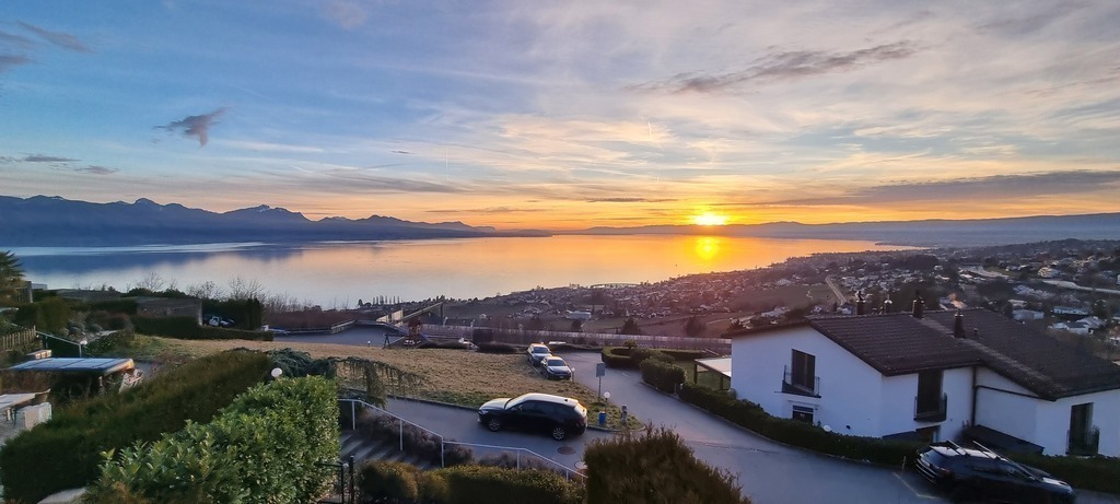 View of the neighborhood from our house