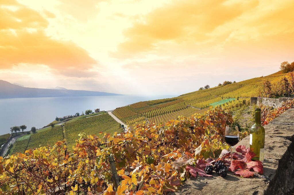 Lavaux