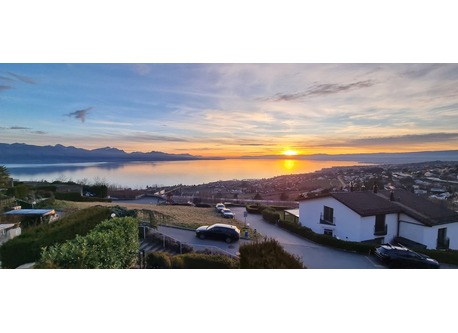 View of the neighborhood from our house