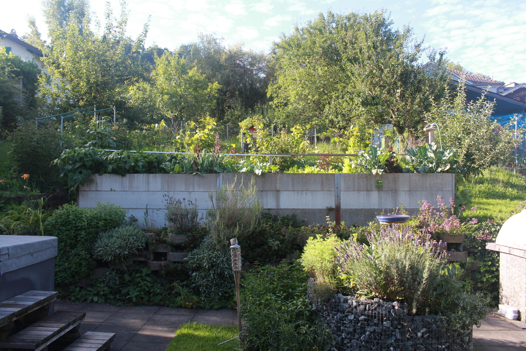 Hochbeet mit Gemüsegarten