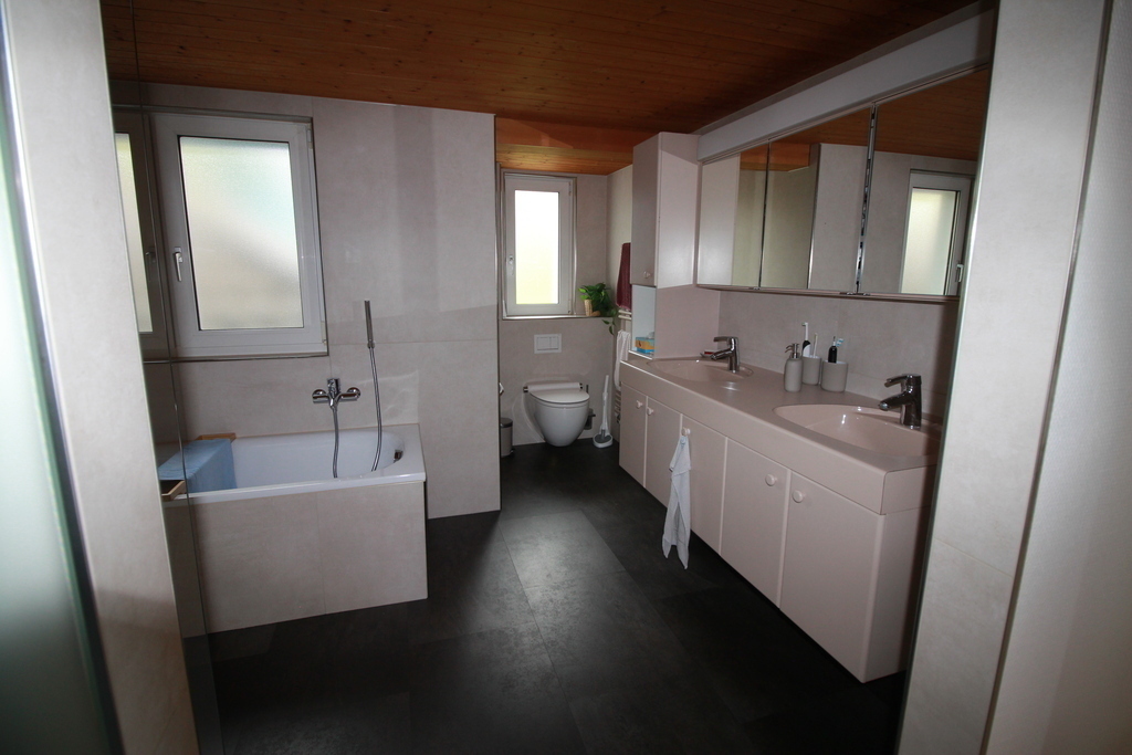 modernes Badezimmer mit Badewanne und ebenem Einstieg in die Dusche