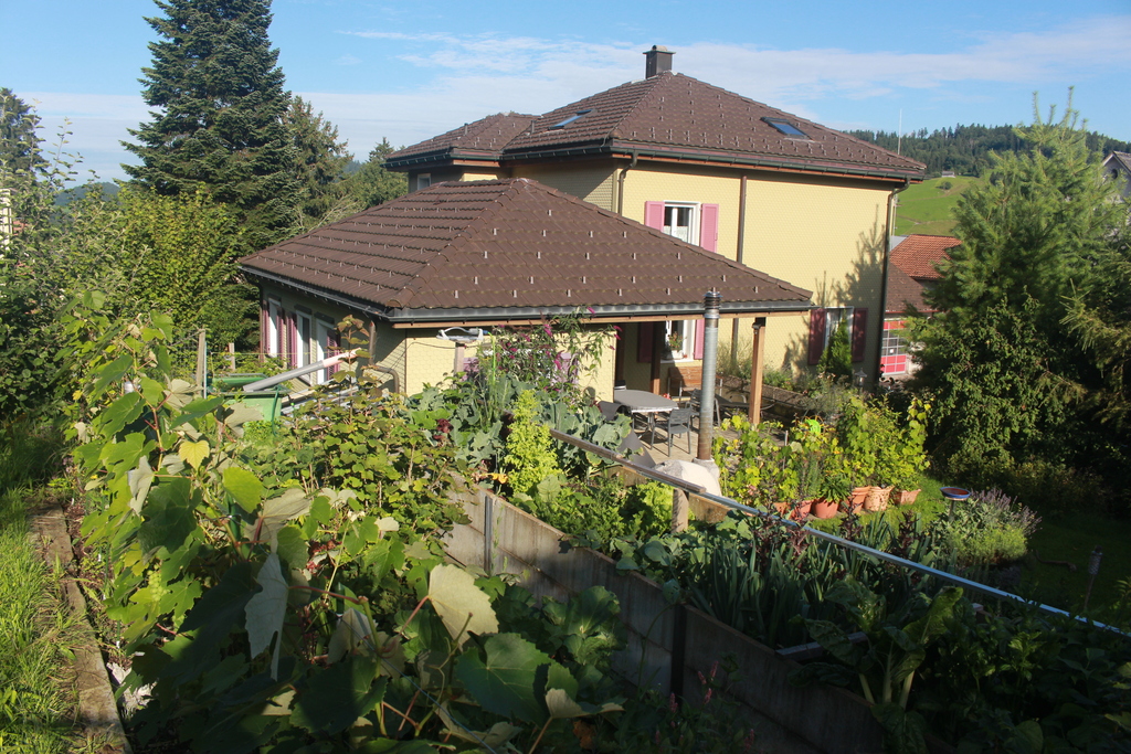 Westansicht vom Gemüsegarten aus