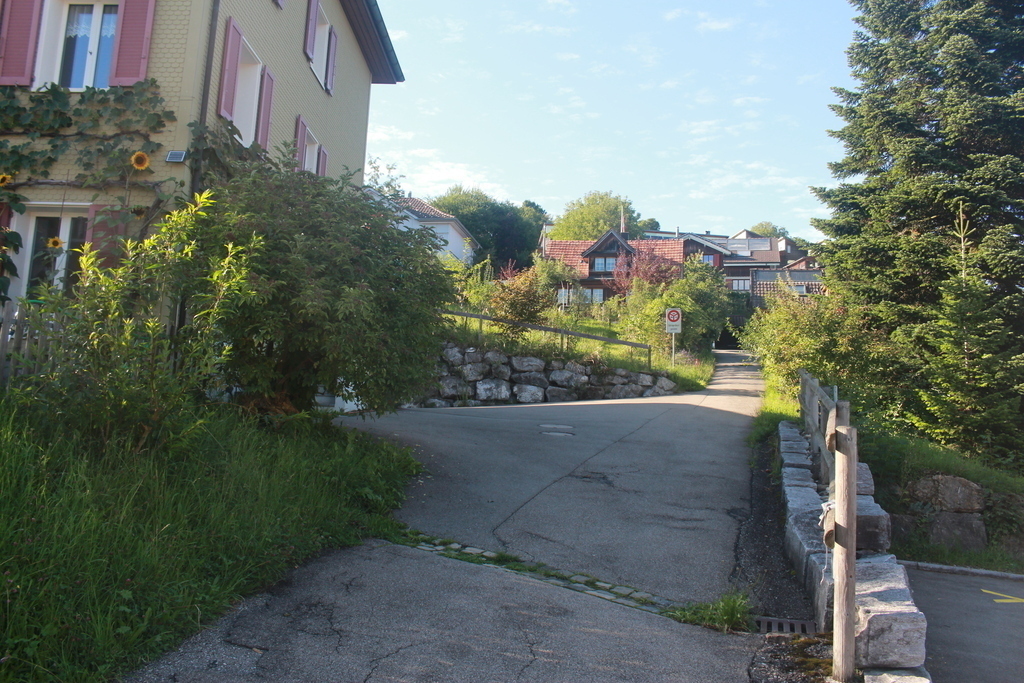 Auffahrt von der Steineggstrasse zum Garagenvorplatz