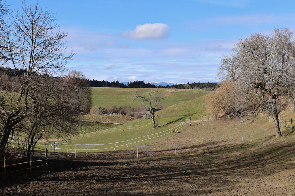 Blick Richtung Jura