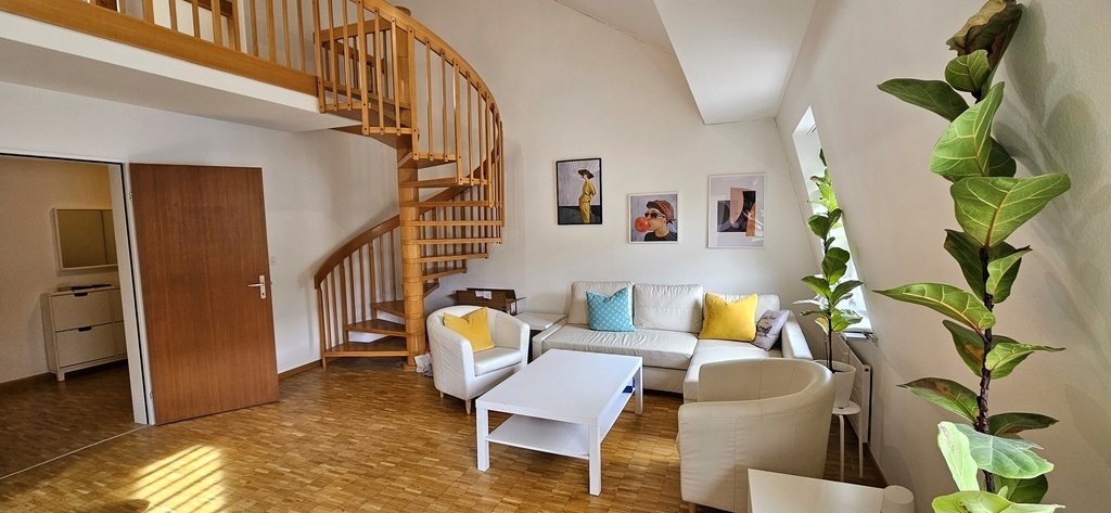 Livingroom with a pull out sofa bed