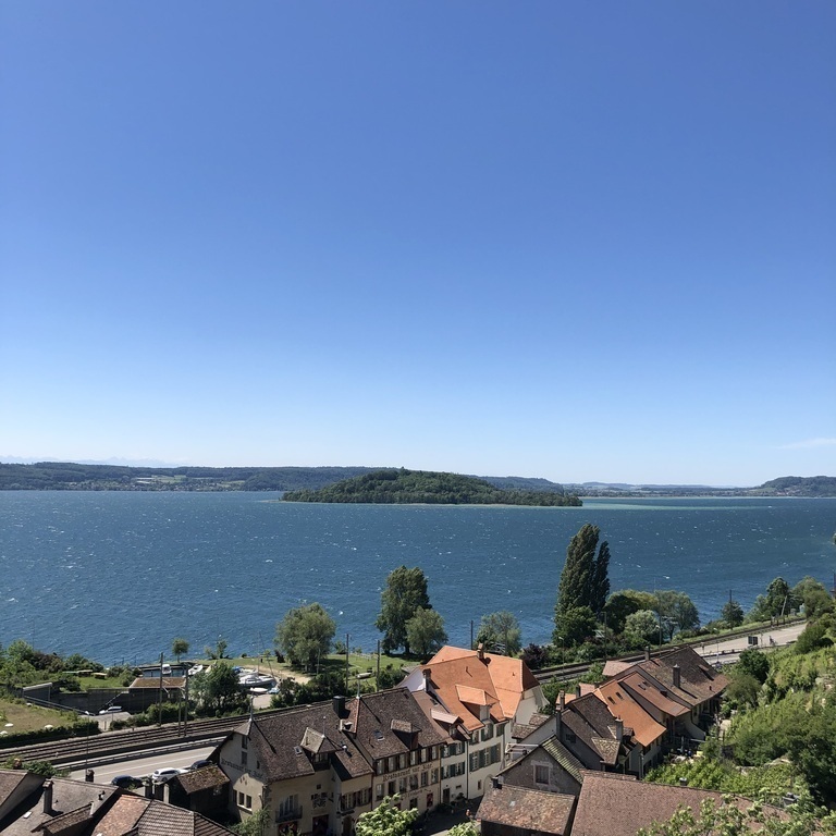 Rebberge am Bielersee