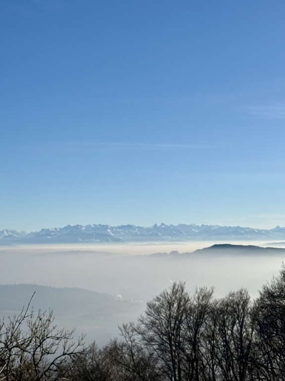 View from Burghorn, approx. 1 hour hike behind the house