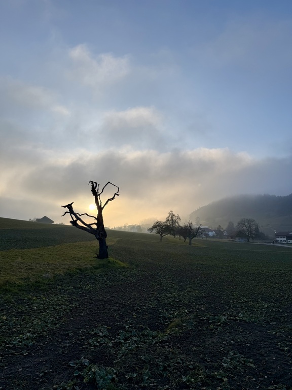 View over the Limmatvalley