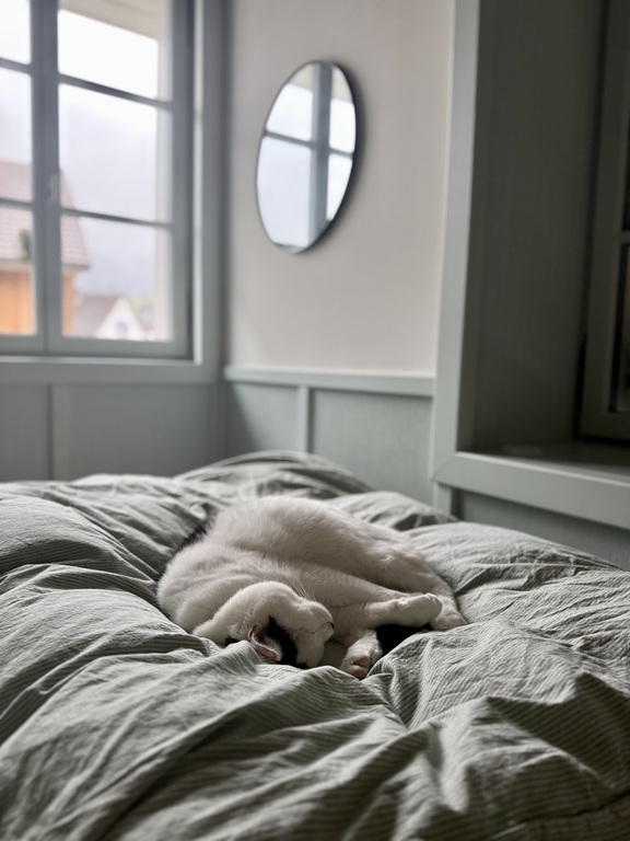 Sleepingroom with Loki