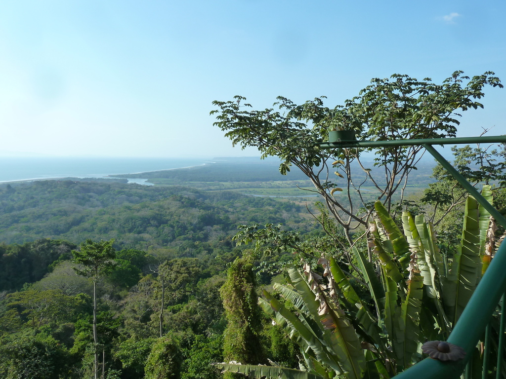 View from a restaurant 