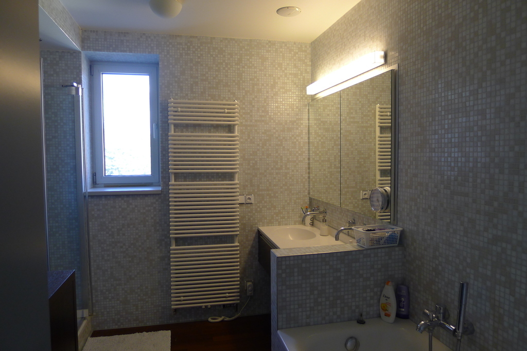 One of the bathrooms