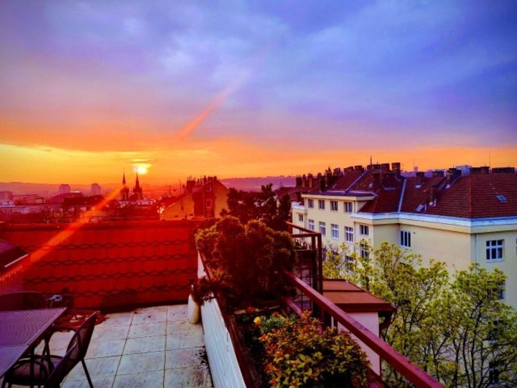 morning view from the roof terrace
