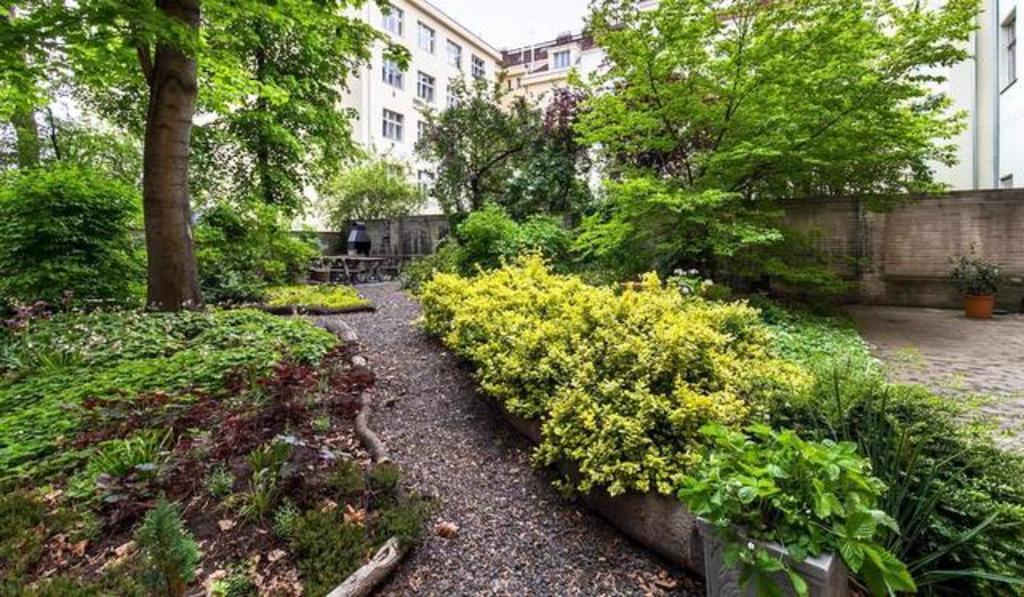 garden with the grill & outdoor seating