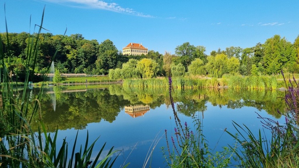Stromovka park, 30 minutes walk from our flat.