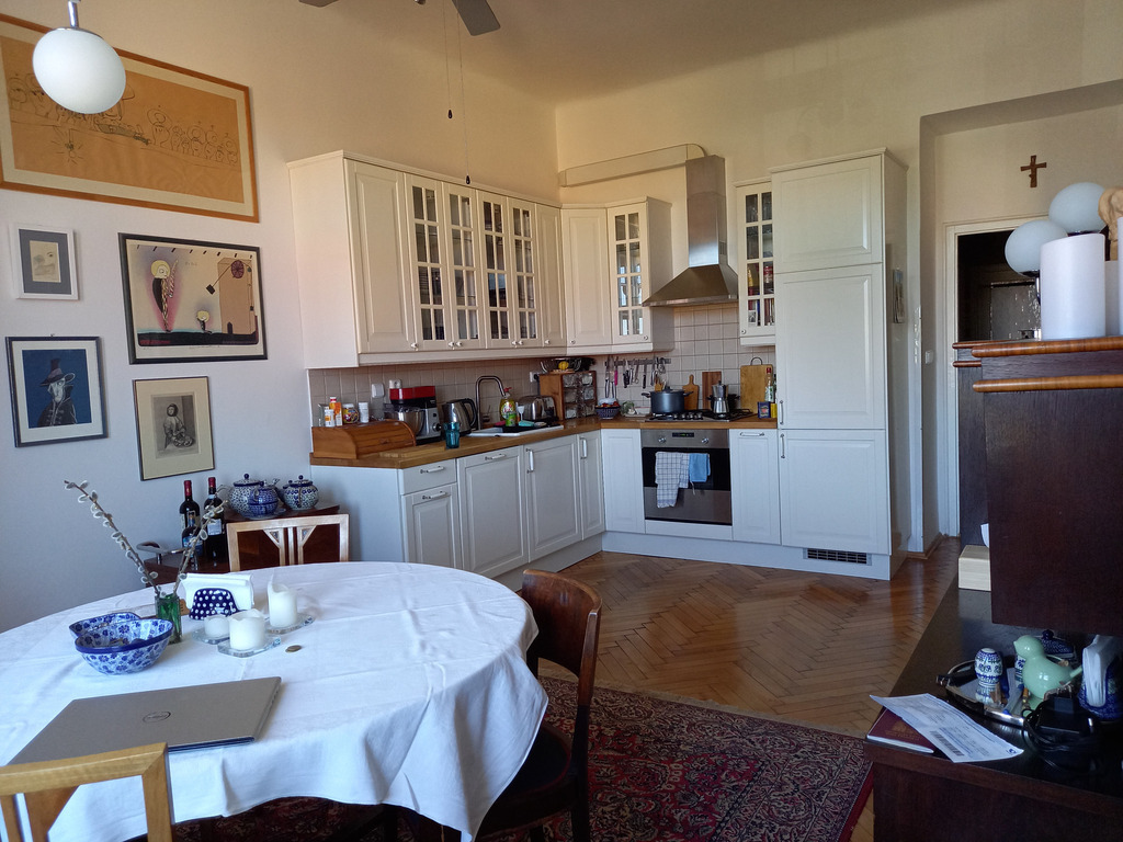 The kitchen in Prague appartment