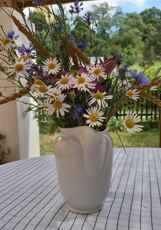 And picture from Nečtiny again.