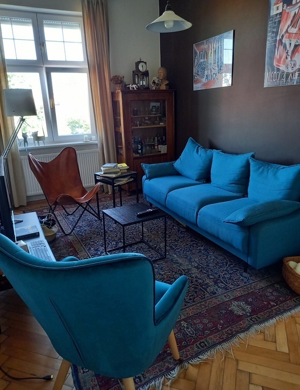 The rest room with sofa - could be opened for bed 160x200 cm