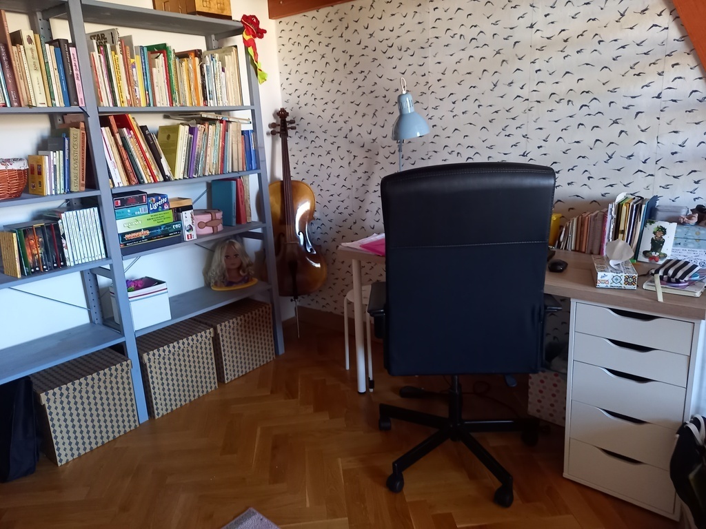 Františka´s room in Prague