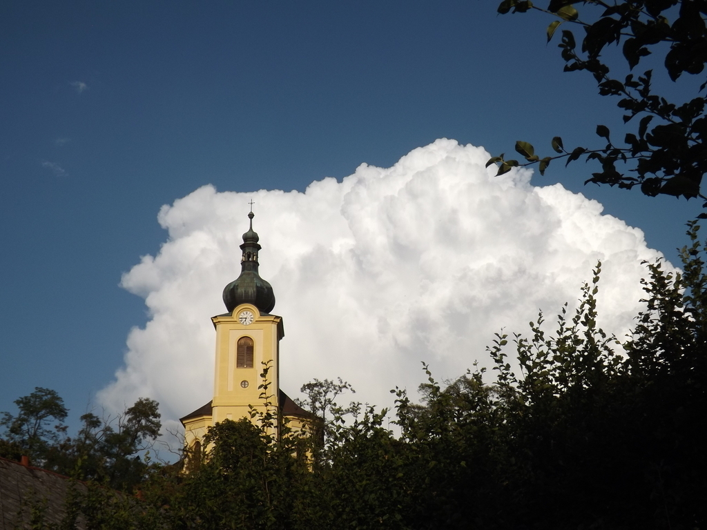 view of our garden (Nečtiny)