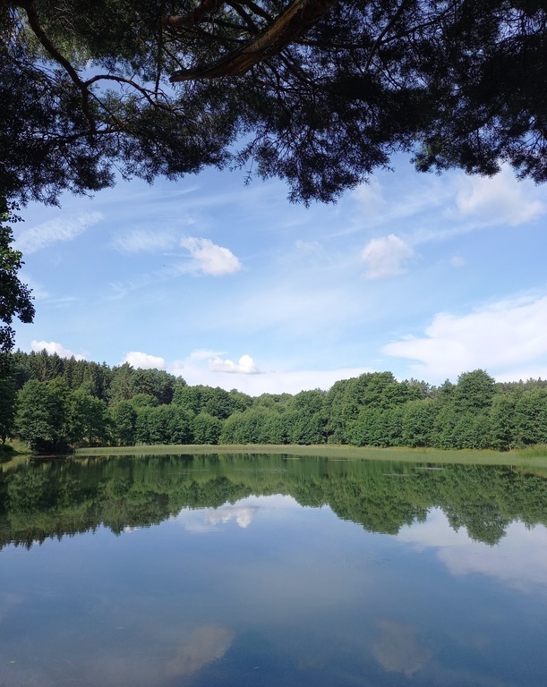 The lake in Nečtiny (it is 2 km of our house and it works like "privacy swimming pool" - allways without other people