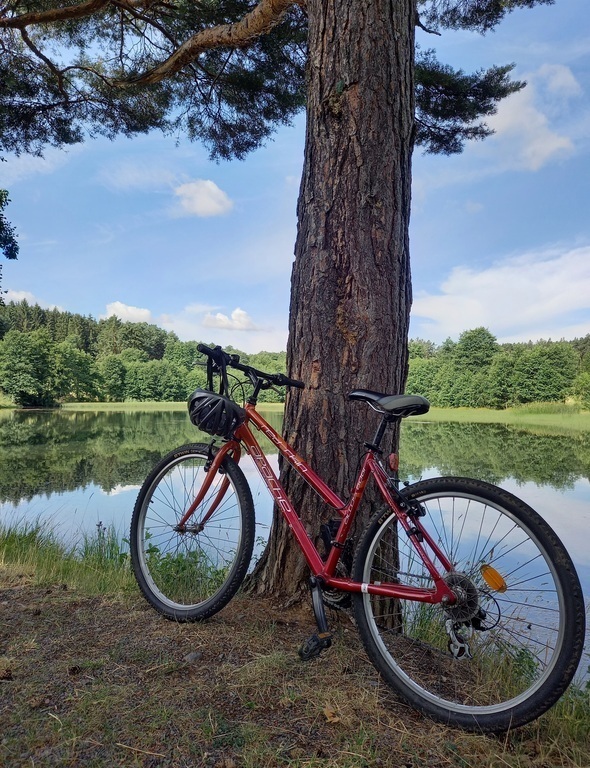 The lake in Nečtiny (it is 2 km of our house and it works like "privacy swimming pool" - allways without other people