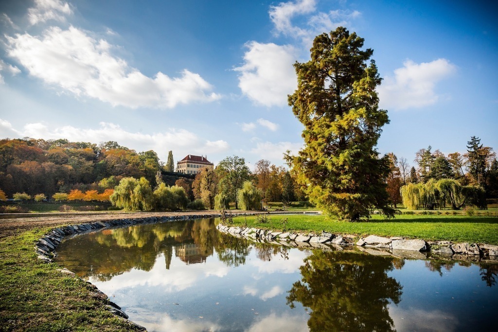 Stromovka park (500 meters from the flat)