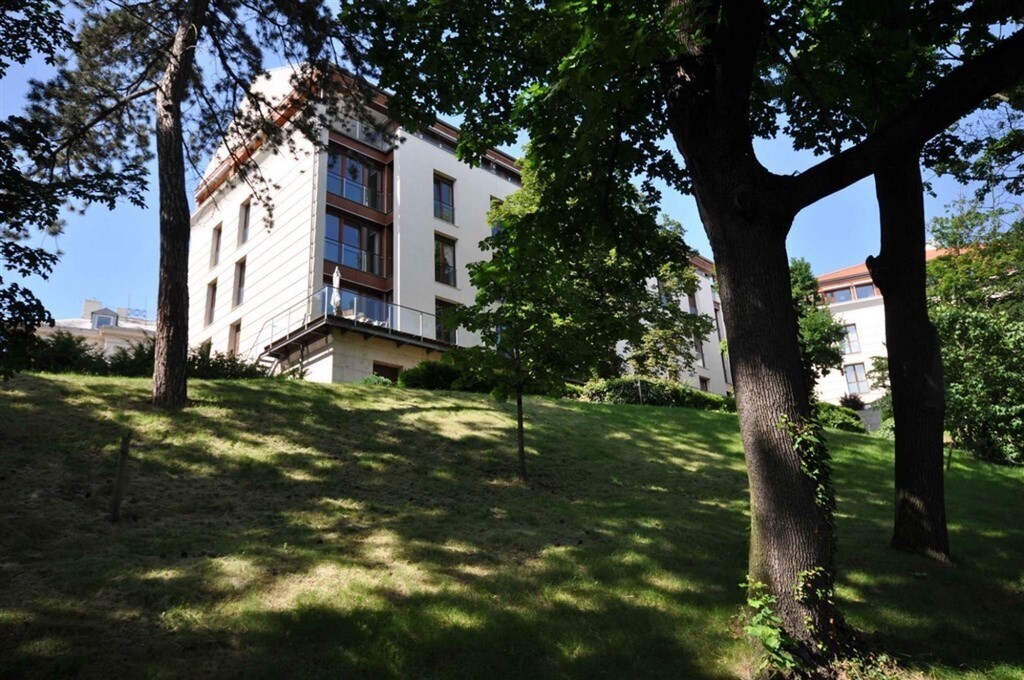 our building and our terrace