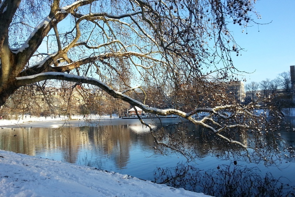 Lietzensee in winter (1500 m)