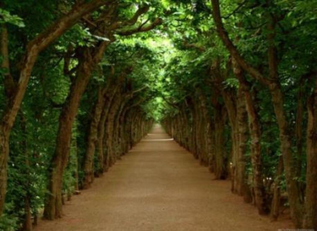 bayreuth - public park