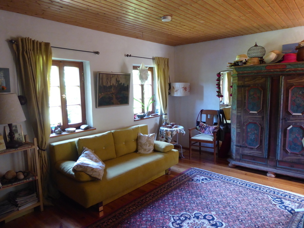 gust room with sleeping couch (queensize)