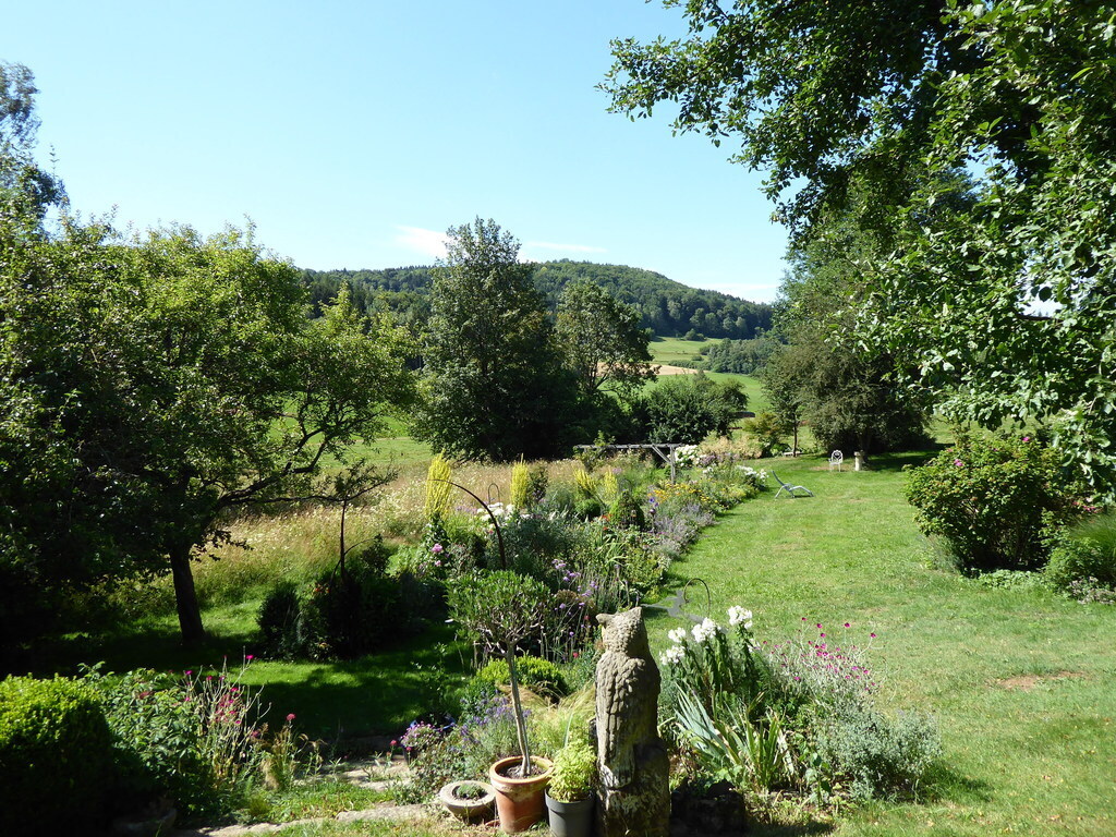 garden (view from terrace)