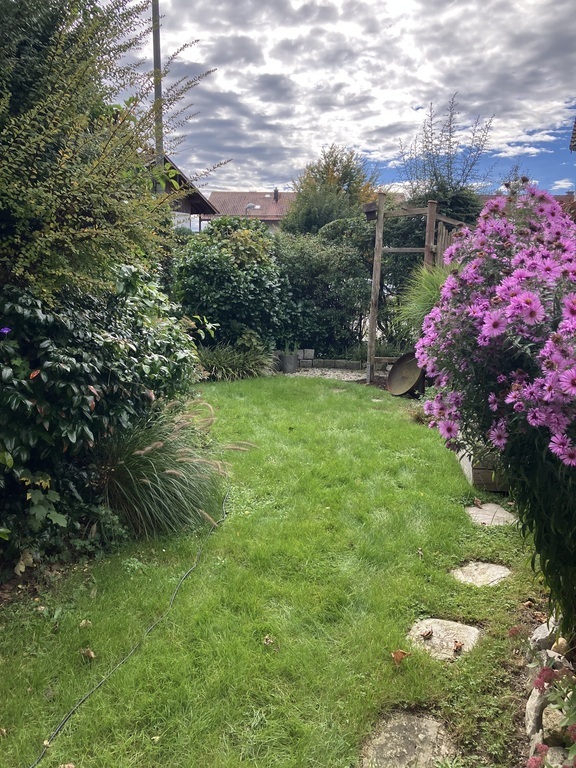 Our garden facing South