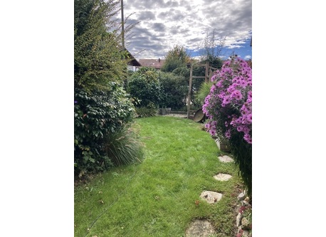 Our garden facing South