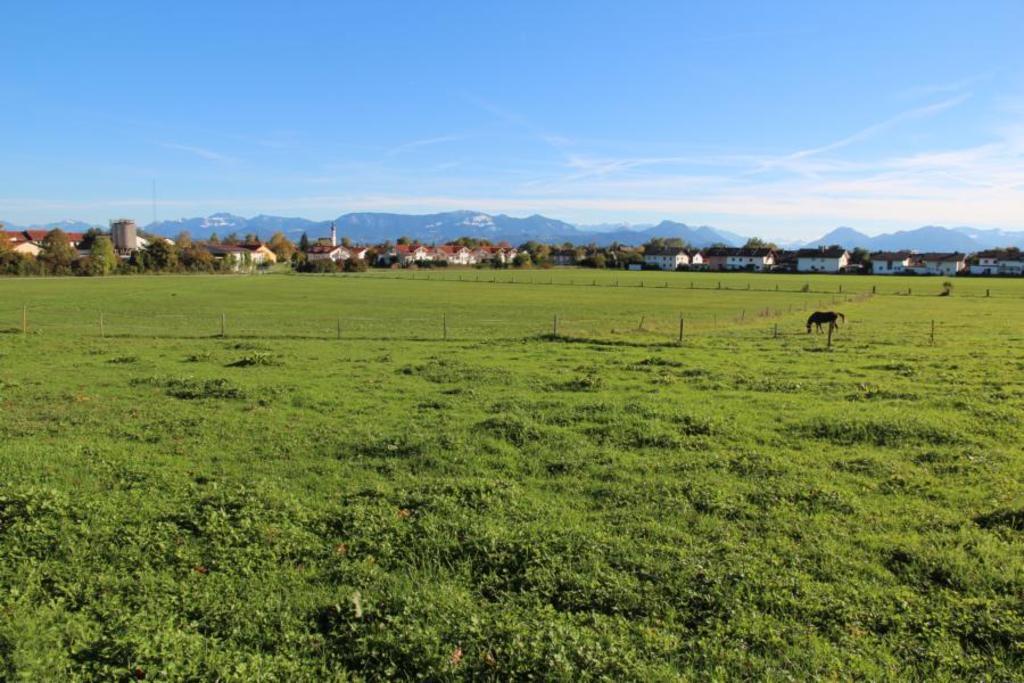 Few minutes walk from our house, view on Rosenheim and the mountains