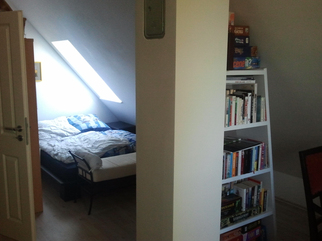 Guest Room and Home Office