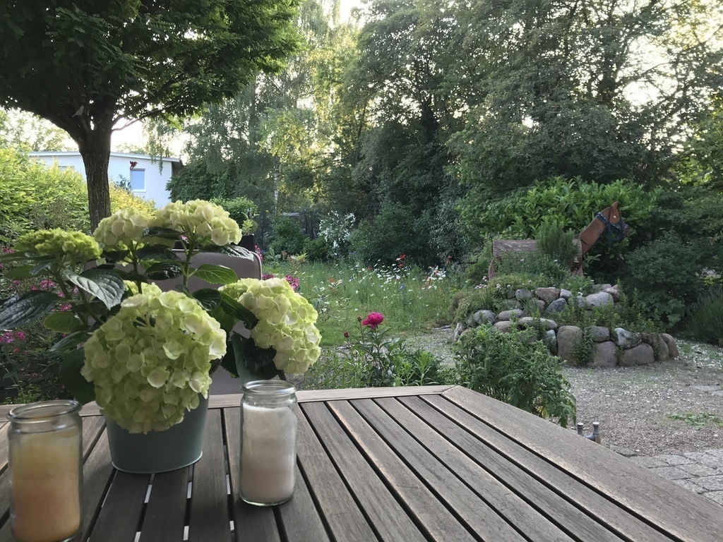 Garden in Summer