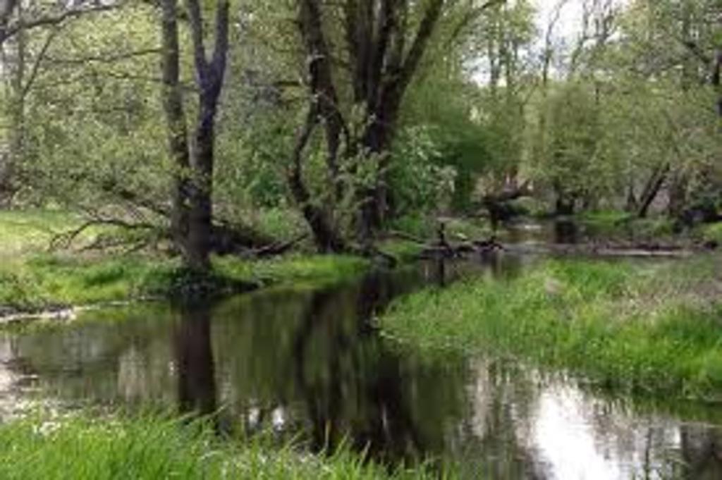 Tegeler Fließ / walking area close to the house