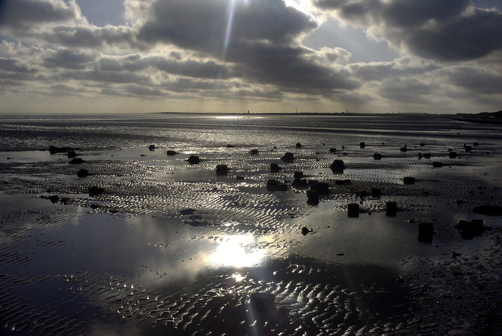 Wadden Sea