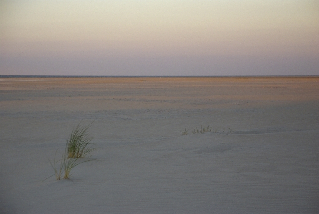 beach in east of the island Wangerooge