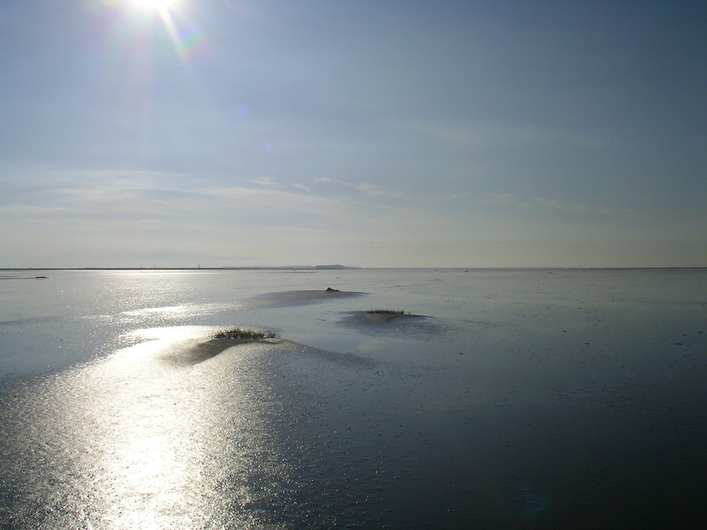 wadden sea